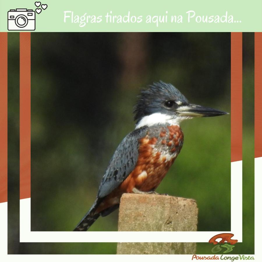 Pousada Longe Vista Tibagi Luaran gambar