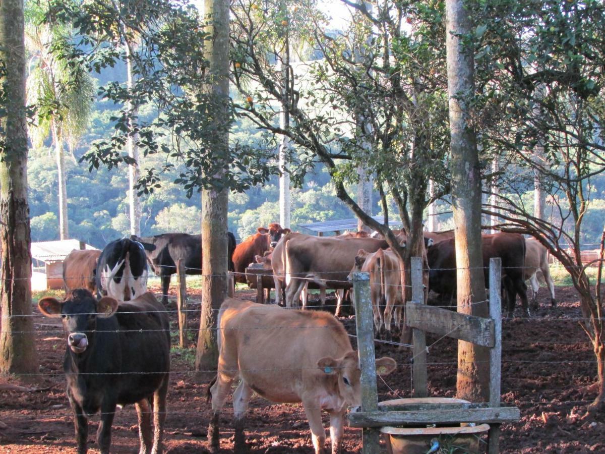 Pousada Longe Vista Tibagi Luaran gambar